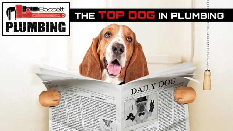 Bassett Listing Hero 768x433