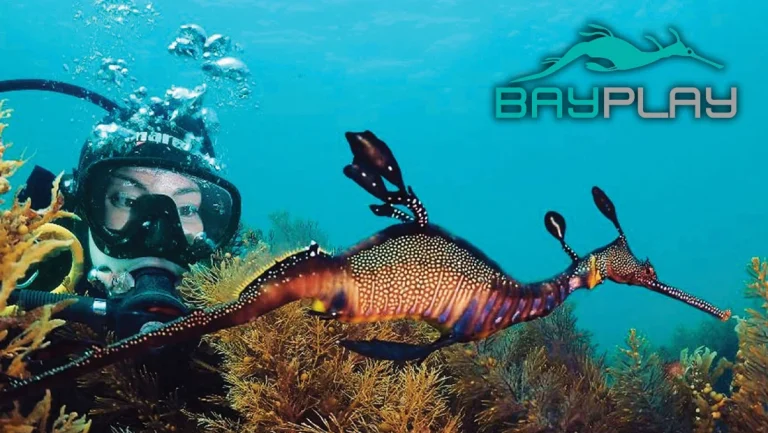 Bayplay hero 768x433