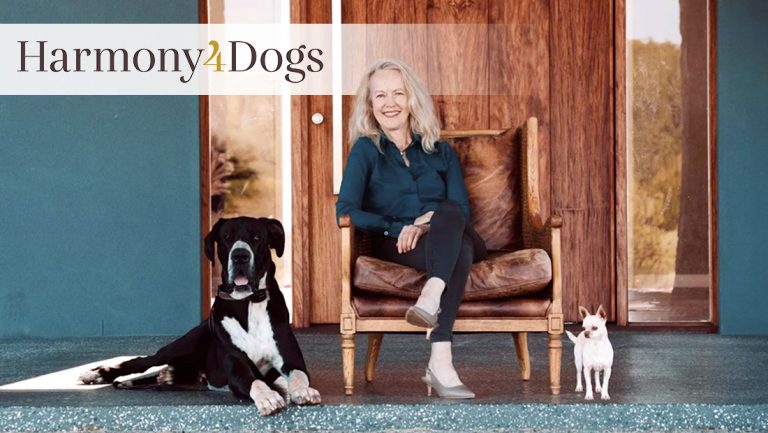 Harmony 4 Dogs hero 768x433