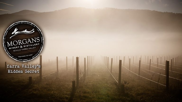 Morgans hero 768x433