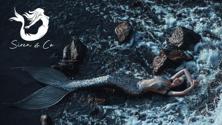 Siren Co hero 768x433
